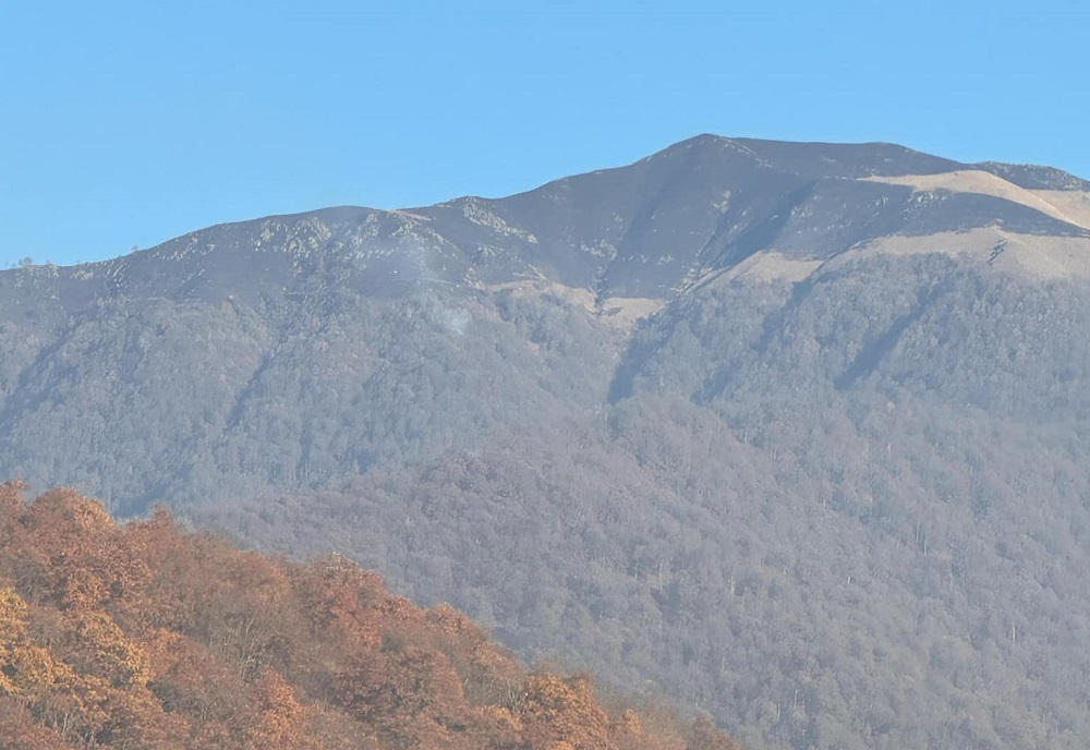 ყვარლის მუნიციპალიტეტის სოფელ ალმატის მთაზე ხანძრის ძირითადი კერები ლიკვიდირებულია