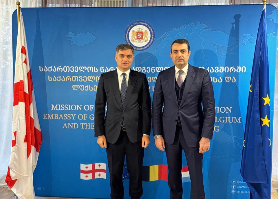 დავით ასათიანი ბელგიის სამეფოსა და ლუქსემბურგის დიდ საჰერცოგოში საქართველოს საგანგებო და სრულუფლებიან ელჩს შეხვდა