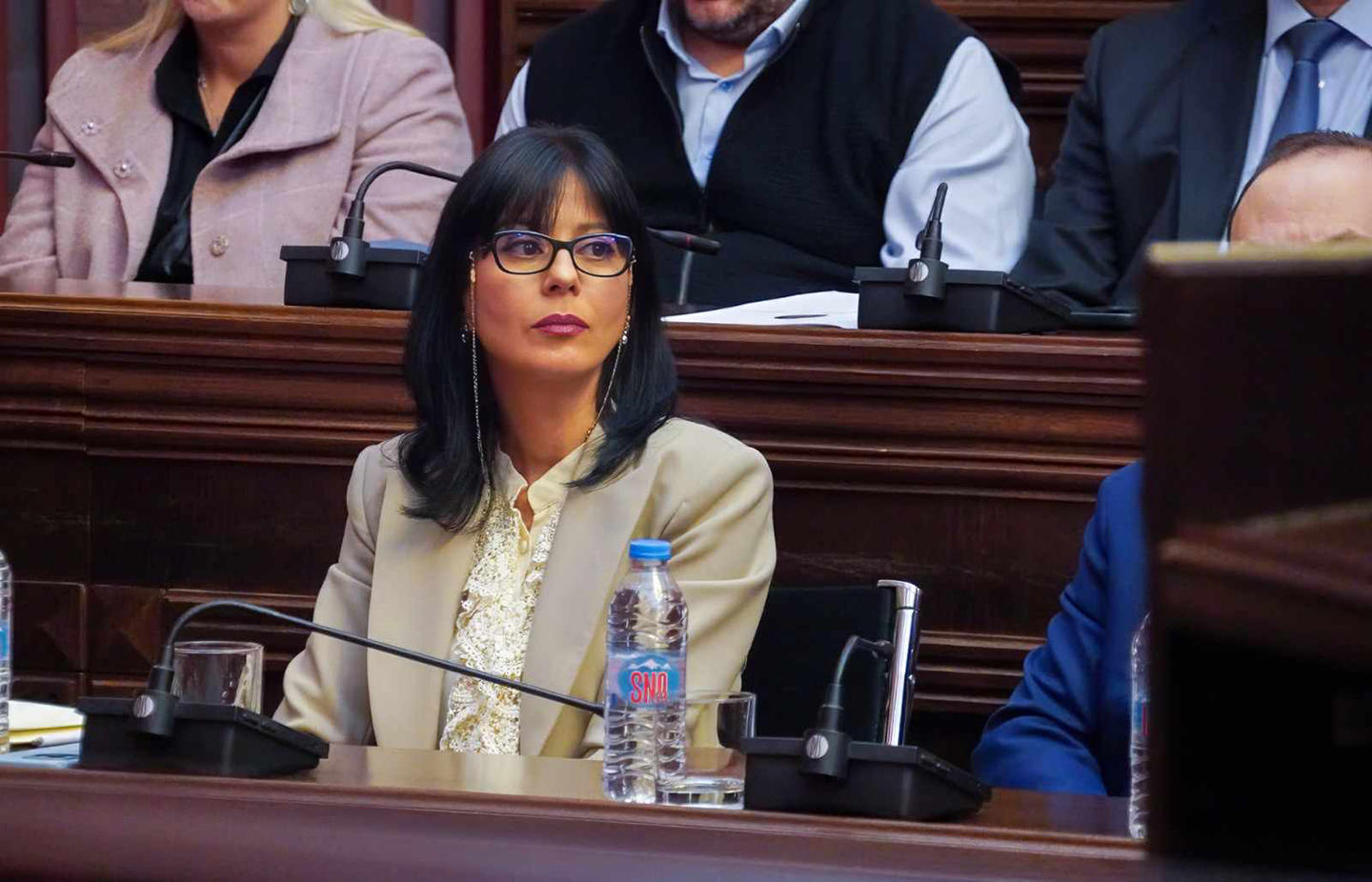 თეა ახვლედიანს იურიდიულ საკითხთა, ადამიანის უფლებათა დაცვისა და სამოქალაქო ინტეგრაციის, თავდაცვისა და უშიშროების და საპროცედურო საკითხთა და წესების კომიტეტების ერთობლივ სხდომაზე მოუსმინეს