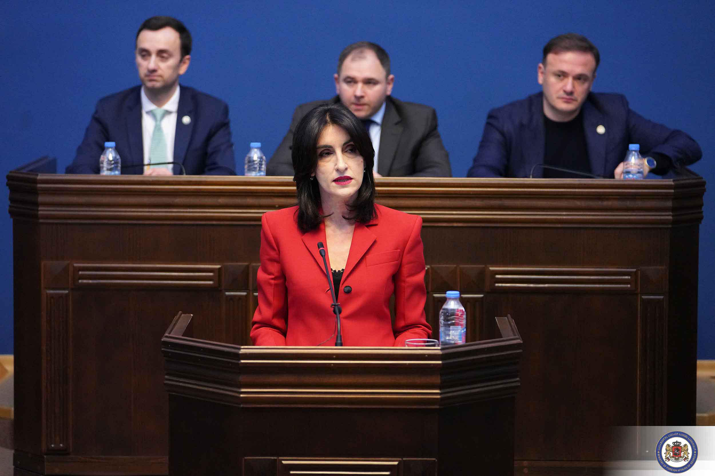მაკა ბოჭორიშვილი - საგარეო პოლიტიკის პრიორიტეტები ორიენტირებულია  ტერიტორიული მთლიანობის მშვიდობიანი გზით აღდგენის და სუვერენიტეტის განმტკიცებაზე