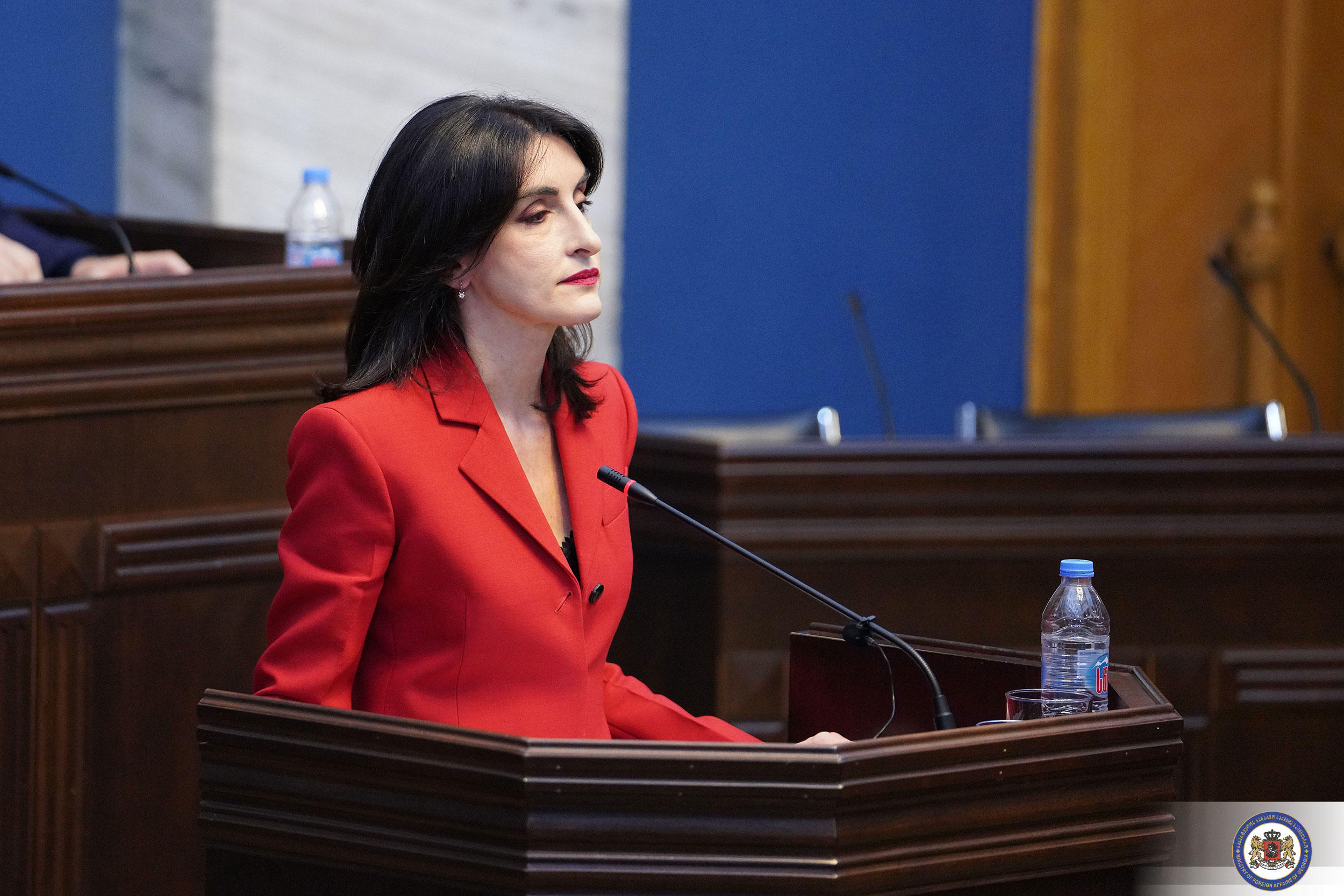 მაკა ბოჭორიშვილი - ერთ-ერთ უმთავრეს პრიორიტეტს წარმოადგენს საქართველოს მომზადება ევროკავშირის წევრობისთვის, თუ 2030 წლისთვის ევროკავშირი გაფართოვდება, საქართველო კანდიდატ ქვეყნებს შორის იქნება ყველაზე უფრო კარგად მომზადებული წევრობისთვის