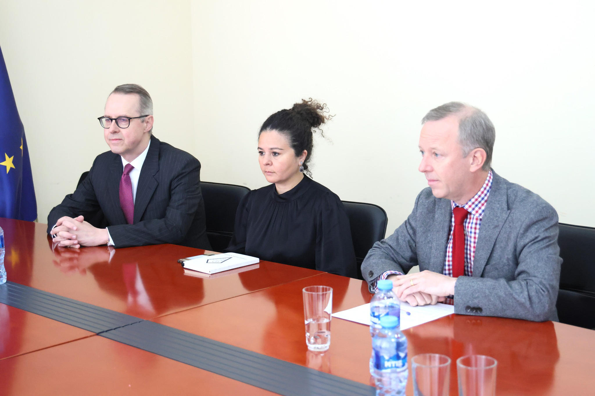 პეტერ ფიშერი - ის, რომ საქართველოში საპროტესტო აქციებზე დაკავებულთა 85%-ზე მეტი დაშავებულია, განგაშის და შეშფოთების წყაროა