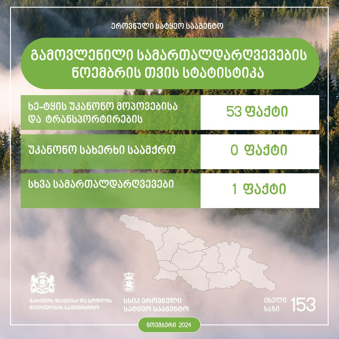 ეროვნული სატყეო სააგენტოს თანამშრომლებმა, მიმდინარე წლის ნოემბერში სამართალდარღვევის 54 ფაქტი გამოავლინეს