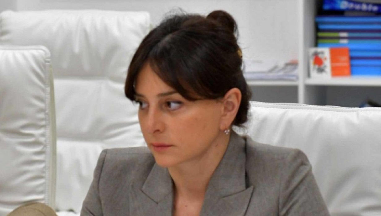 გარემოს დაცვისა და ბუნებრივი რესურსების კომიტეტმა მეათე მოწვევის პარლამენტში დაწყებული კანონპროექტების განხილვის პროცედურების გაგრძელების თაობაზე იმსჯელა