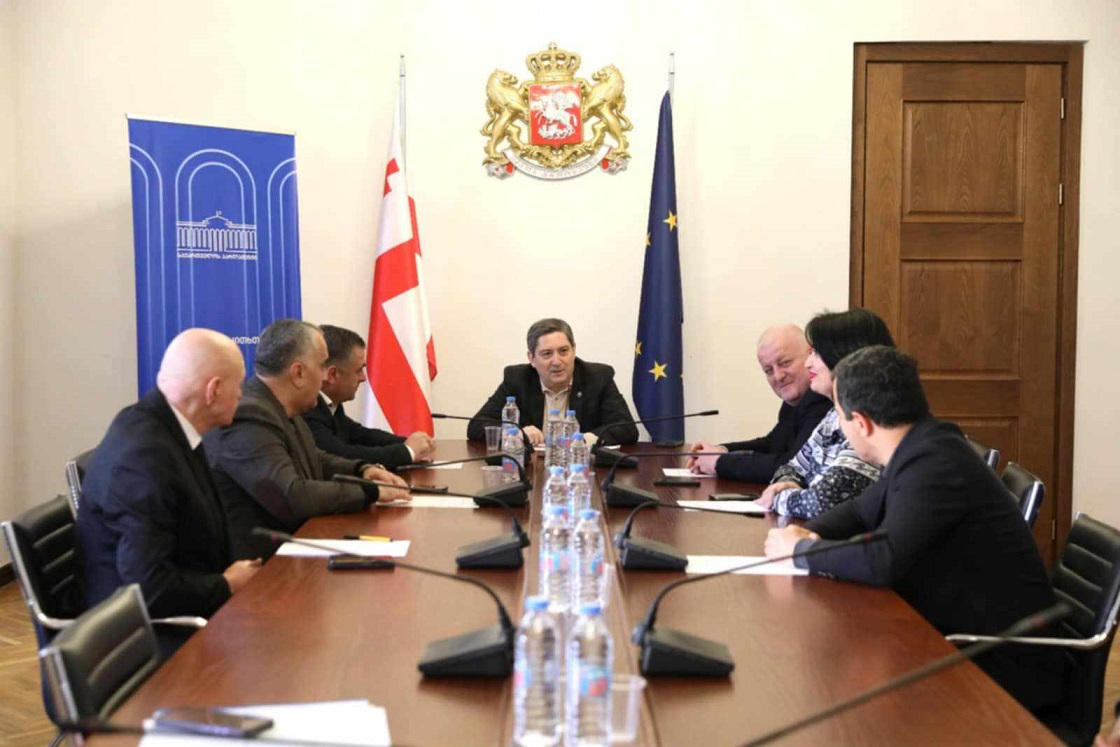 აგრარულ საკითხთა კომიტეტის თავმჯდომარის პირველ მოადგილედ გიორგი გუგუჩია აირჩიეს