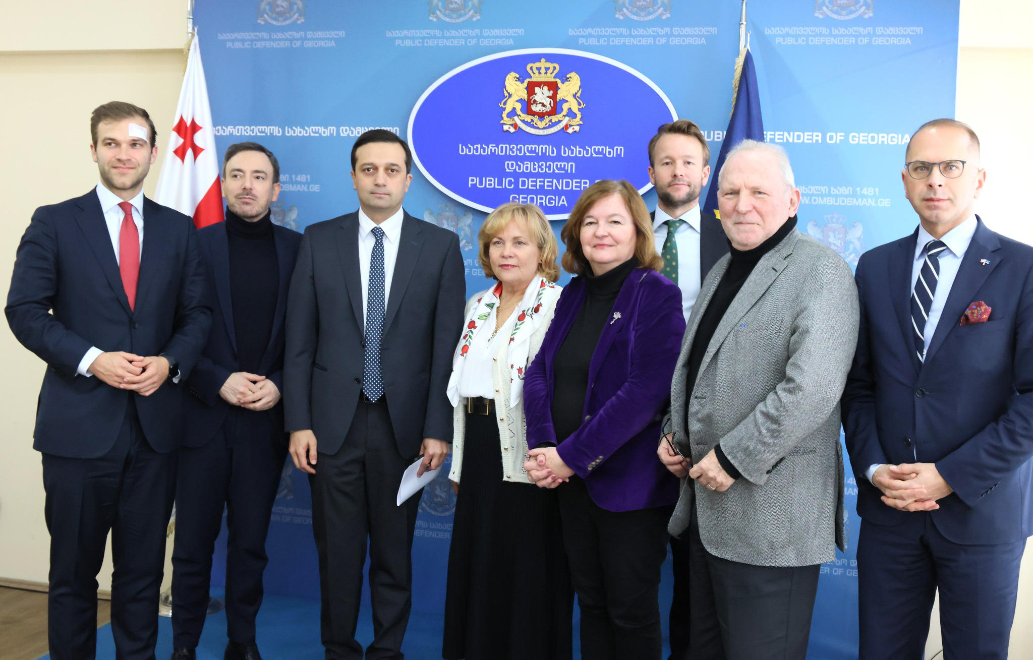 სახალხო დამცველი ევროპარლამენტარებს შეხვდა