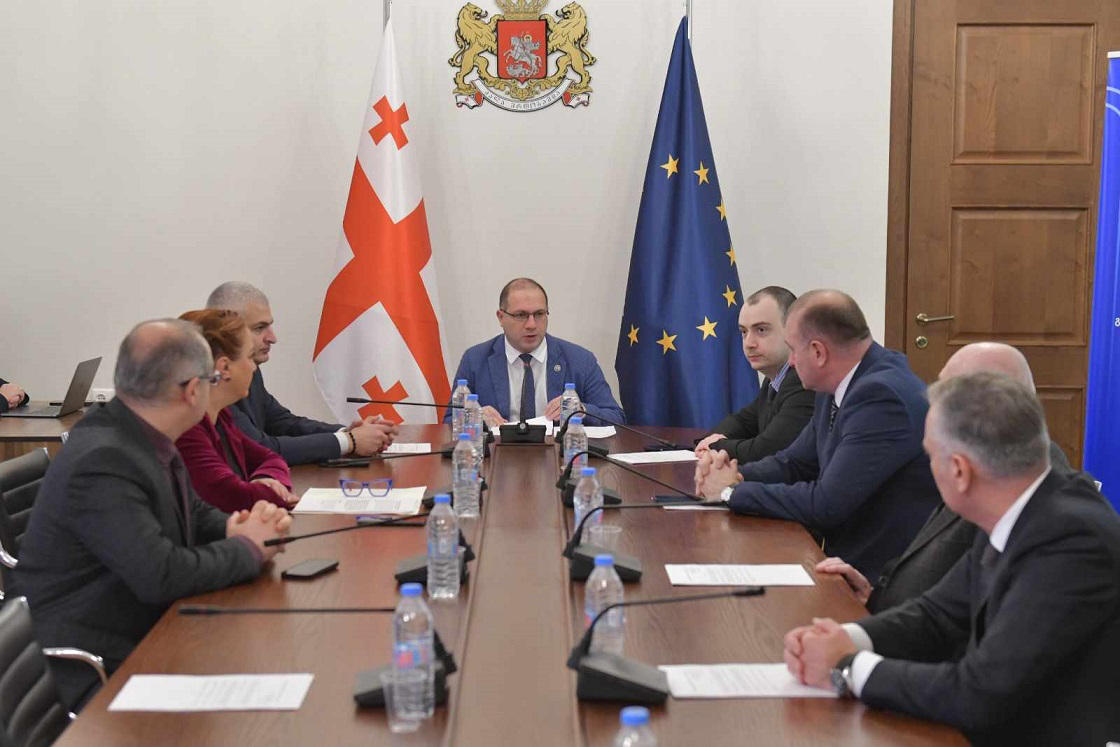 განათლების, მეცნიერებისა და ახალგაზრდულ საქმეთა კომიტეტის თავმჯდომარის მოადგილედ პაატა სალია აირჩიეს