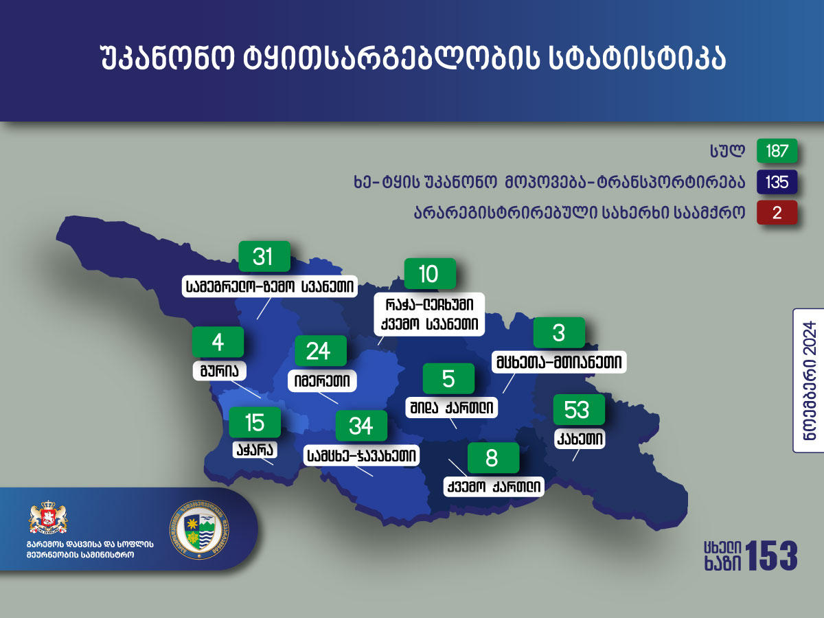 გარემოსდაცვითი ზედამხედველობის დეპარტამენტის თანამშრომლებმა ნოემბერში უკანონო ტყითსარგებლობის 187 ფაქტი გამოავლინეს