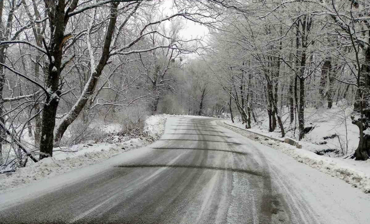 ვერონა-თელავის მონაკვეთზე ავტოტრანსპორტის მოძრაობა აღდგა