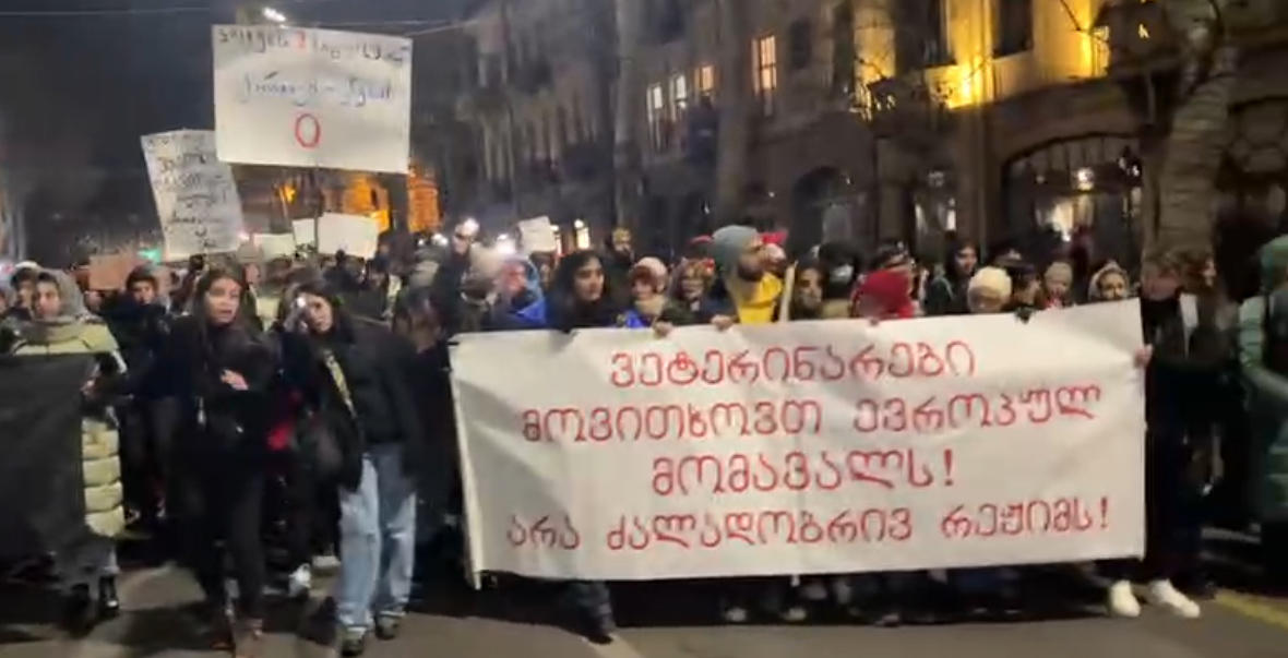 ვეტერინარები და ცხოველთა მოყვარულები პარლამენტთან მიმდინარე აქციას მსვლელობით შეუერთდნენ