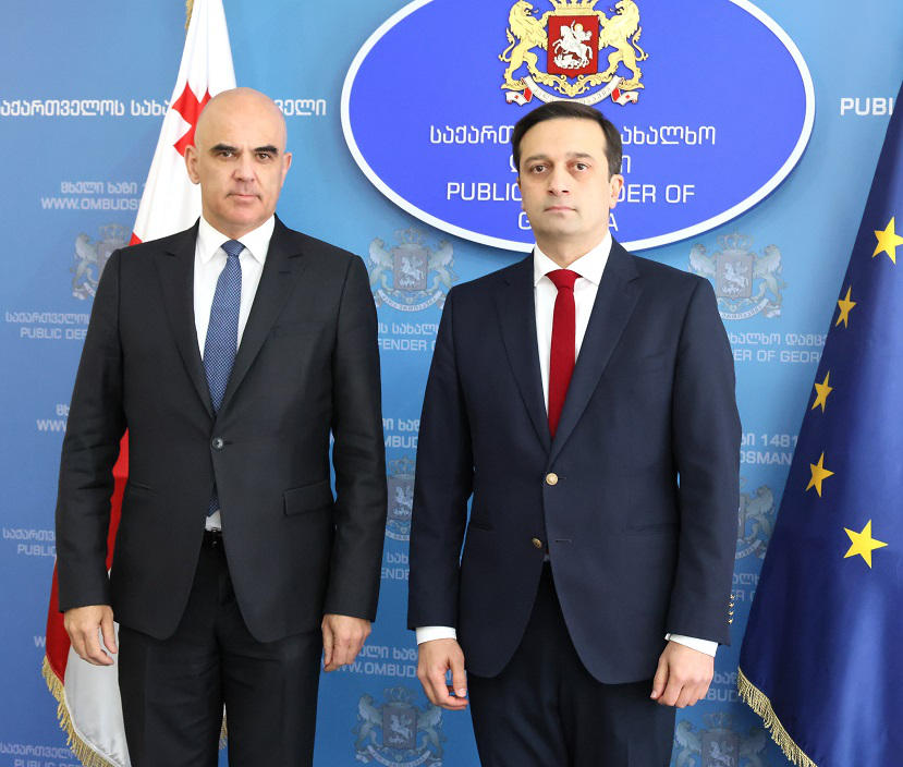 სახალხო დამცველი ევროპის საბჭოს გენერალურ მდივანს შეხვდა