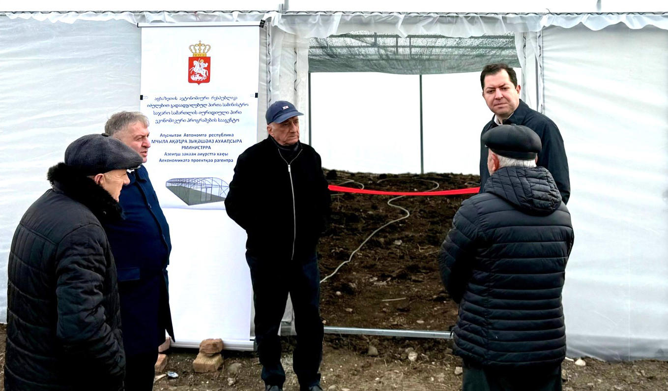 აფხაზეთიდან დევნილი მეწარმეებისთვის სასათბურე მეურნეობები მოეწყო