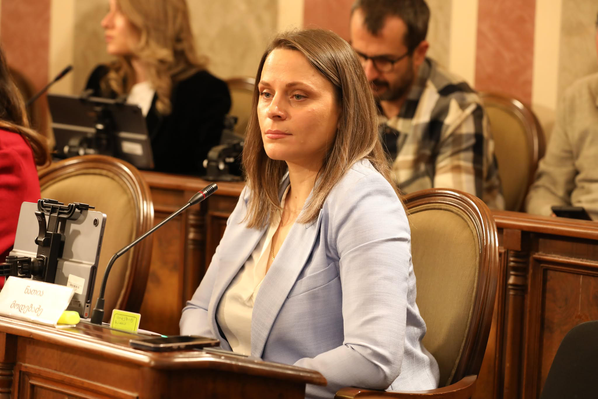 თბილისის საკრებულოს წევრი ნათია მოდებაძე - სამშობლოს სიყვარულით არ მართლდება გადამწვარი რუსთაველი