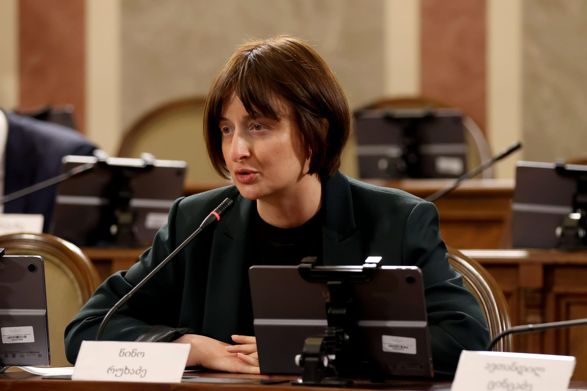 ნინო რუხაძე - თბილისის ბიუჯეტი მუდმივად აუმჯობესებს საკუთარ ისტორიულ მაქსიმუმს