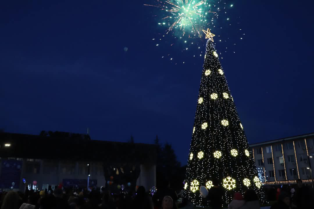 ხობის ცენტრალურ პარკში საახალწლო ნაძვის ხე საზეიმოდ აინთო