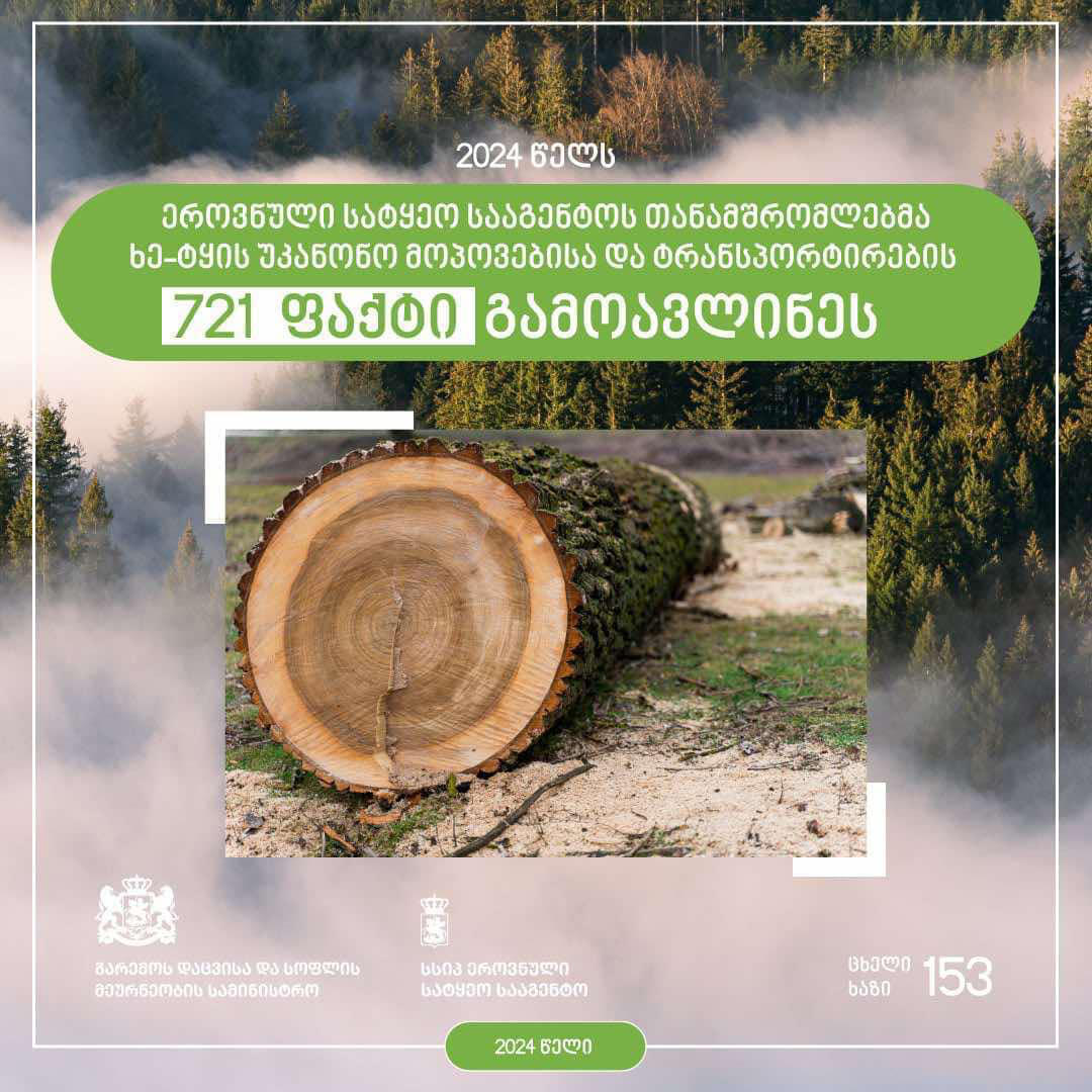 ეროვნული სატყეო სააგენტოს თანამშრომლებმა, 2024 წელს, სამართალდარღვევის 721 ფაქტი გამოავლინეს