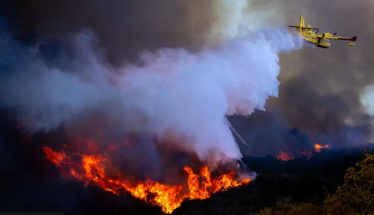 ლოს-ანჯელესში ხანძრის შედეგად დაღუპულთა რაოდენობა 10-მდე გაიზარდა - პოლიციამ ერთ-ერთ რაიონში ხანძრის განზრახ გაჩენის მცდელობაში ეჭვმიტანილი დააკავა