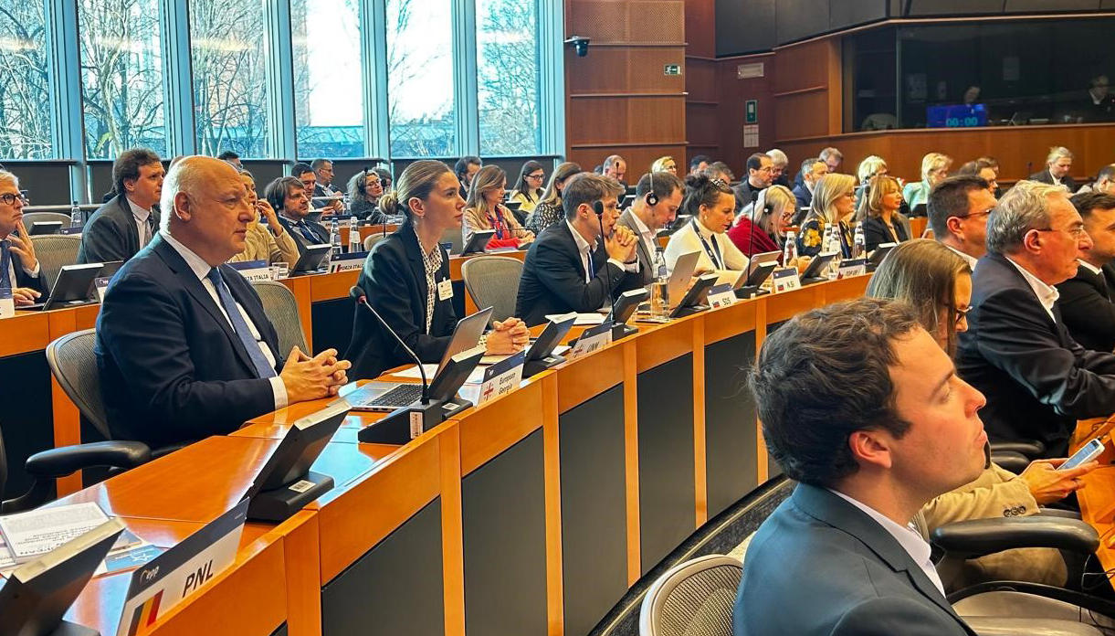 თინა ბოკუჩავა - ევროპის სახალხო პარტიის პოლიტიკური ასამბლეა დღეს მიიღებს რეზოლუციას, რომელიც ივანიშვილს მოუწოდებს, გათავისუფლდეს ყველა პოლიტპატიმარი, ასევე, ახალი არჩევნების ჩატარებაზეც იქნება მოწოდება