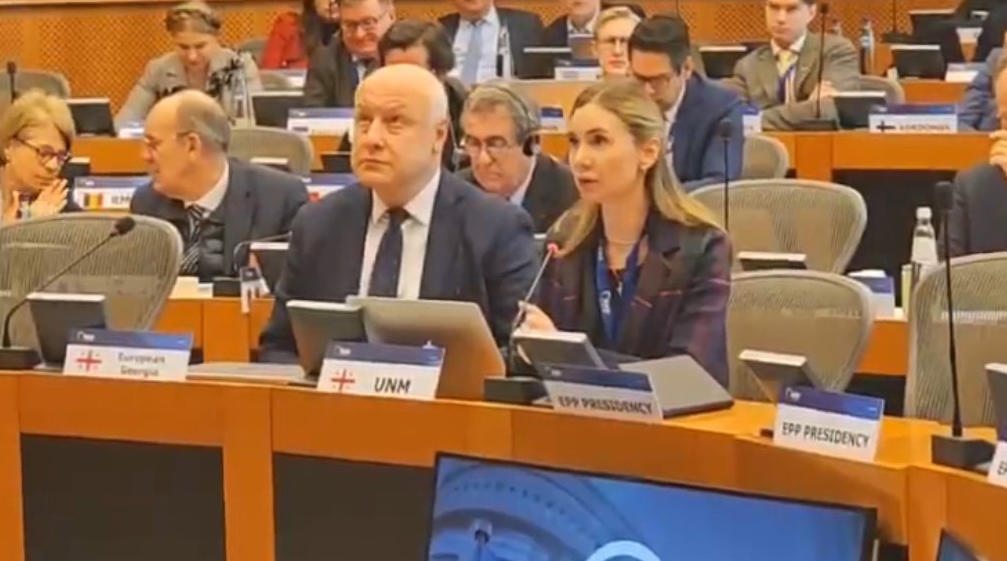 თინა ბოკუჩავა ევროპის სახალხო პარტიის ასამბლეაზე - ივანიშვილის არალეგიტიმური მთავრობა მიმართავს რეპრესიებს და ძალადობას ჟურნალისტებისა და ოპონენტების მიმართ - მოგიწოდებთ, მხარი დაუჭიროთ საგანგებო რეზოლუციას