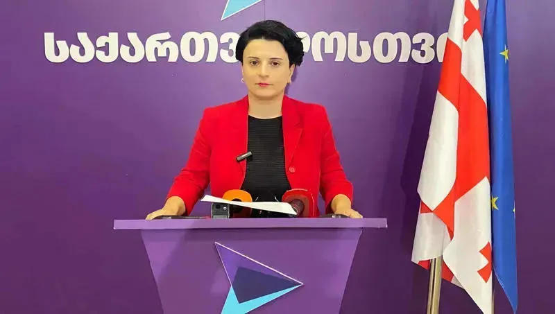 Natia Mezvrishvili on the attack on Giorgi Gakharia: There is evidence that the perimeter at the crime scene was intentionally not protected and the police arrived late - the destruction of evidence is already evident