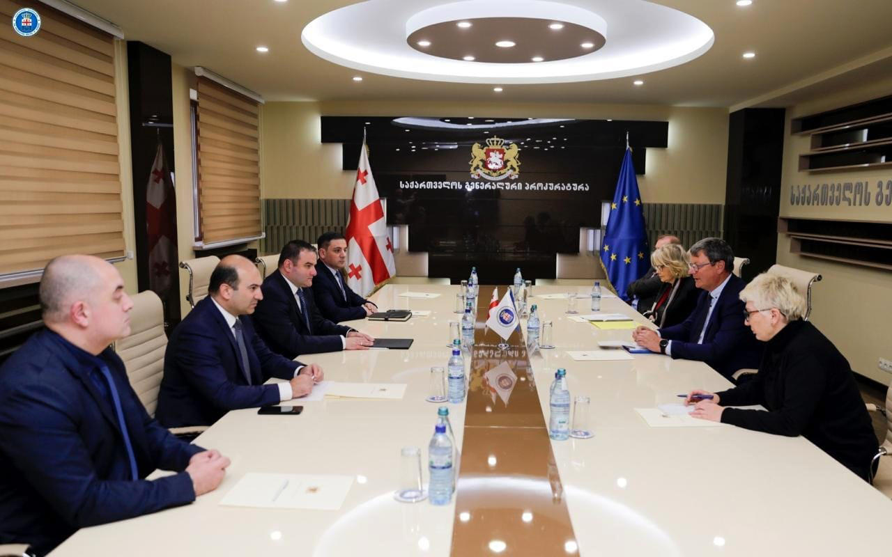 გენერალური პროკურორი გიორგი გაბიტაშვილი ევროპის საბჭოს საპარლამენტო ასამბლეის მონიტორინგის კომიტეტის წევრებს შეხვდა