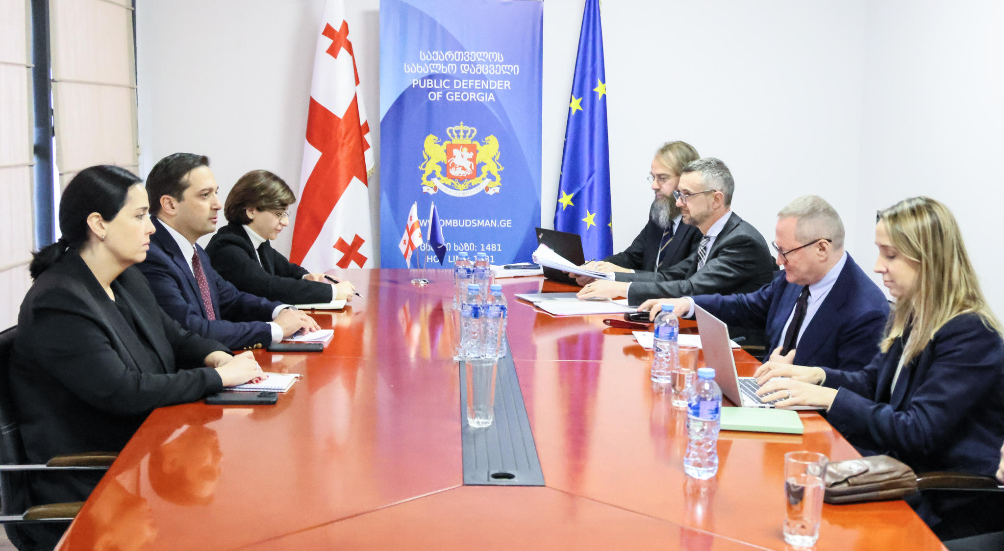 სახალხო დამცველი ევროპის საბჭოს ადამიანის უფლებათა კომისარს შეხვდა