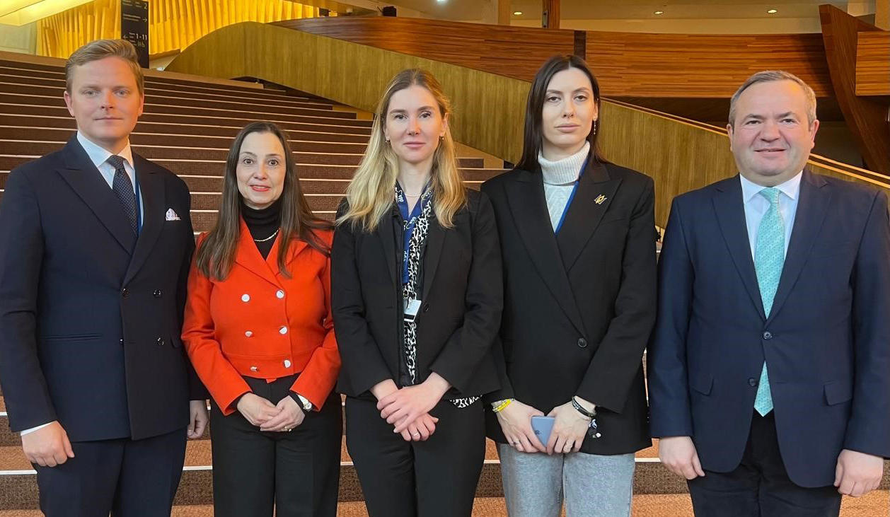 თინა ბოკუჩავა - სტრასბურგში შეხვედრები გვაქვს პოლიტიკურ ჯგუფებში, რომელთაც ვაცნობთ ინფორმაციას ივანიშვილის რუსული რეჟიმის რეპრესიების შესახებ - ვუყვებით დაკავებული, ნაწამები ადამიანების შესახებ