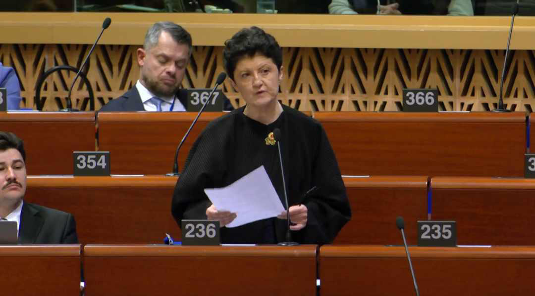 თეა წულუკიანი - ევროკავშირთან გაწევრიანების შესახებ რაიმე სახის მოლაპარაკებები არ ყოფილა, ამიტომ სრულიად არასწორია იმის მტკიცება, რომ მოლაპარაკებები ჩვენი მხრიდან შეჩერდა