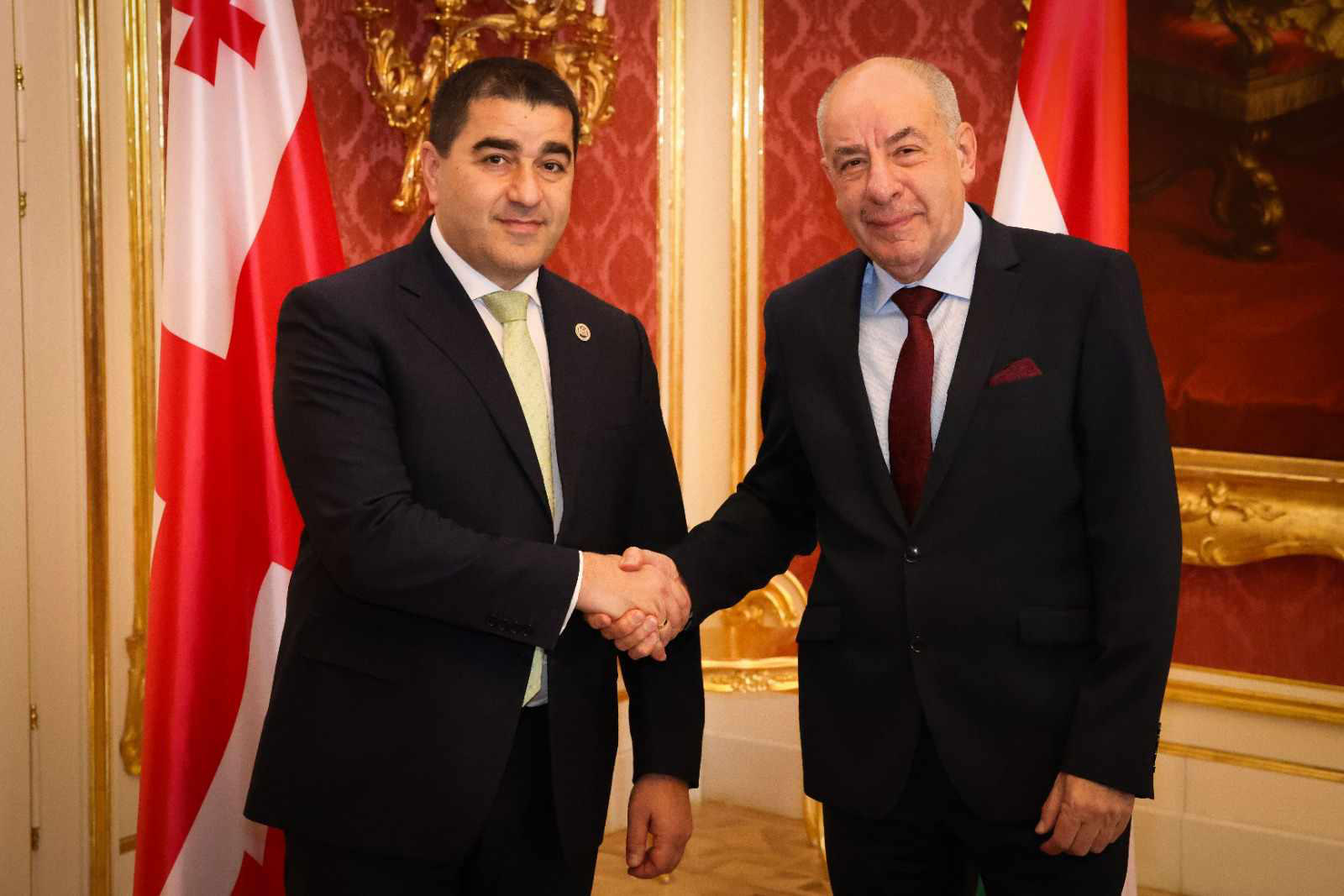 შალვა პაპუაშვილი უნგრეთის პრეზიდენტს შეხვდა