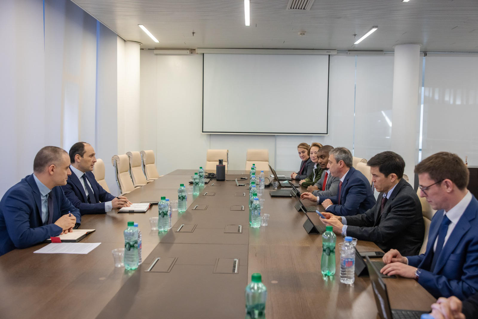 ლევან დავითაშვილი საერთაშორისო სავალუტო ფონდის მისიის წარმომადგენლებს შეხვდა