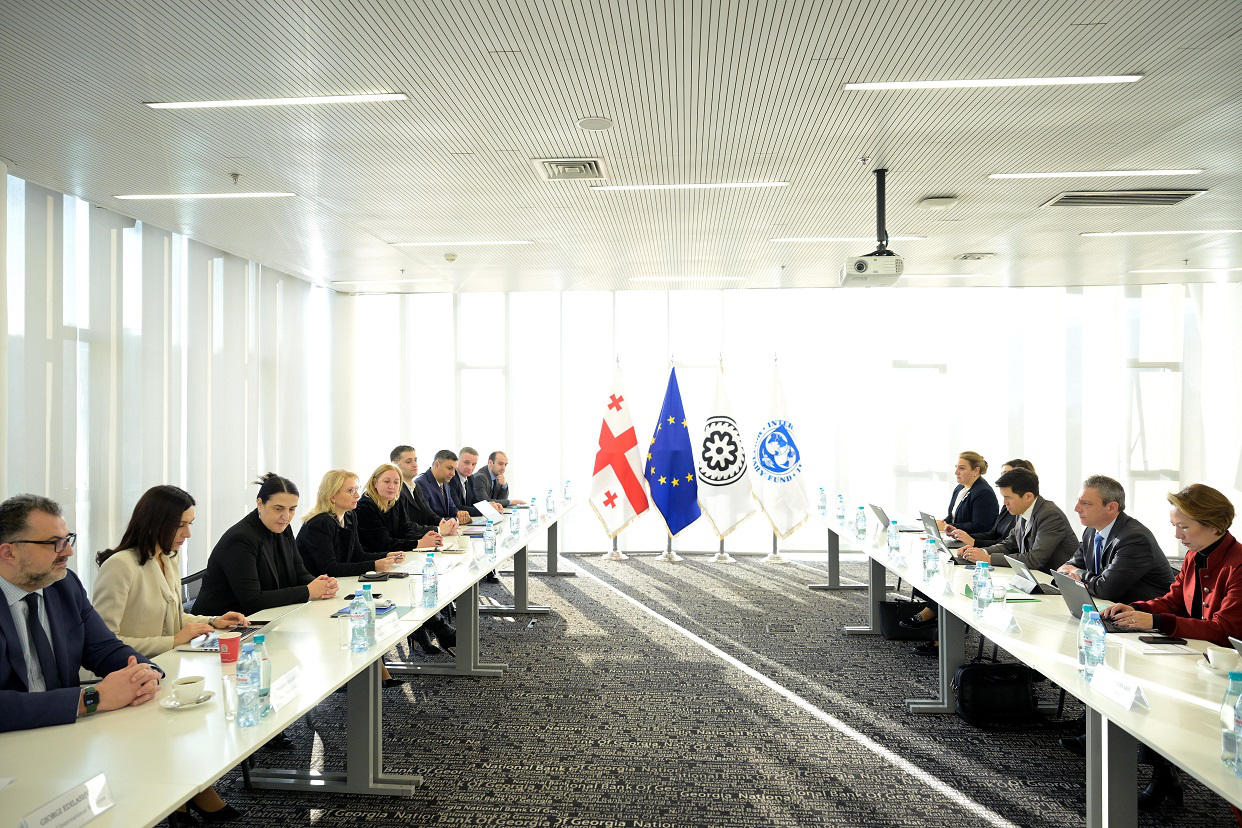 ნათია თურნავა საერთაშორისო სავალუტო ფონდის მისიის წარმომადგენლებს შეხვდა