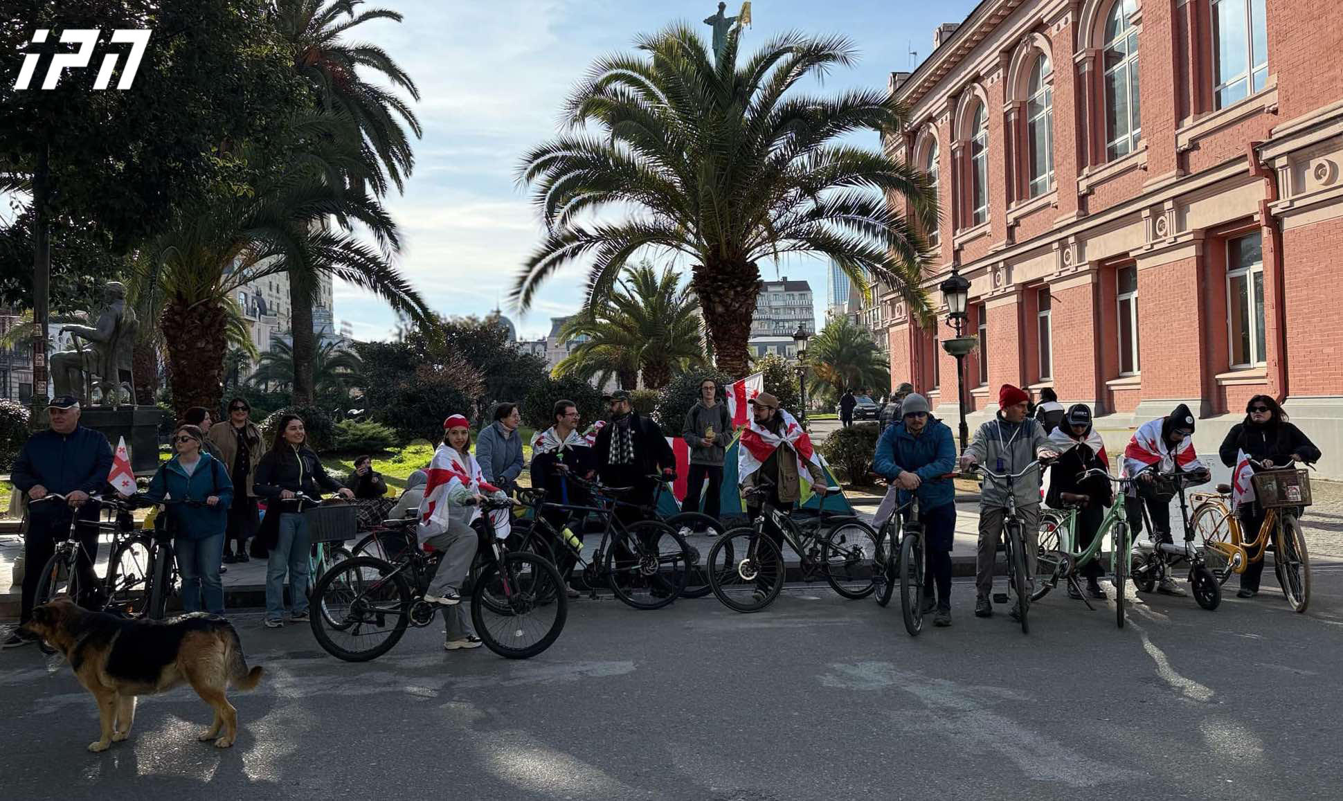 ბათუმში ველომარში მოეწყო