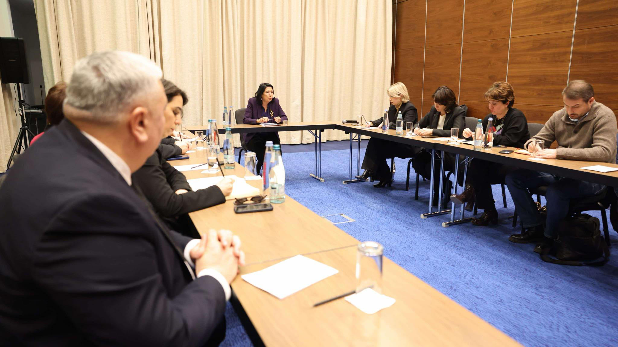 სალომე ზურაბიშვილი არასამთავრობო ორგანიზაციების წარმომადგენლებს ხვდება