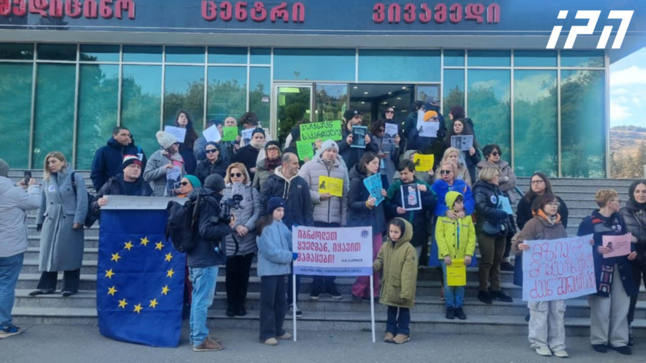 კლინიკა „ვივამედთან“ მზია ამაღლობელის კოლეგები და მხარდამჭერები აქციას მართავენ