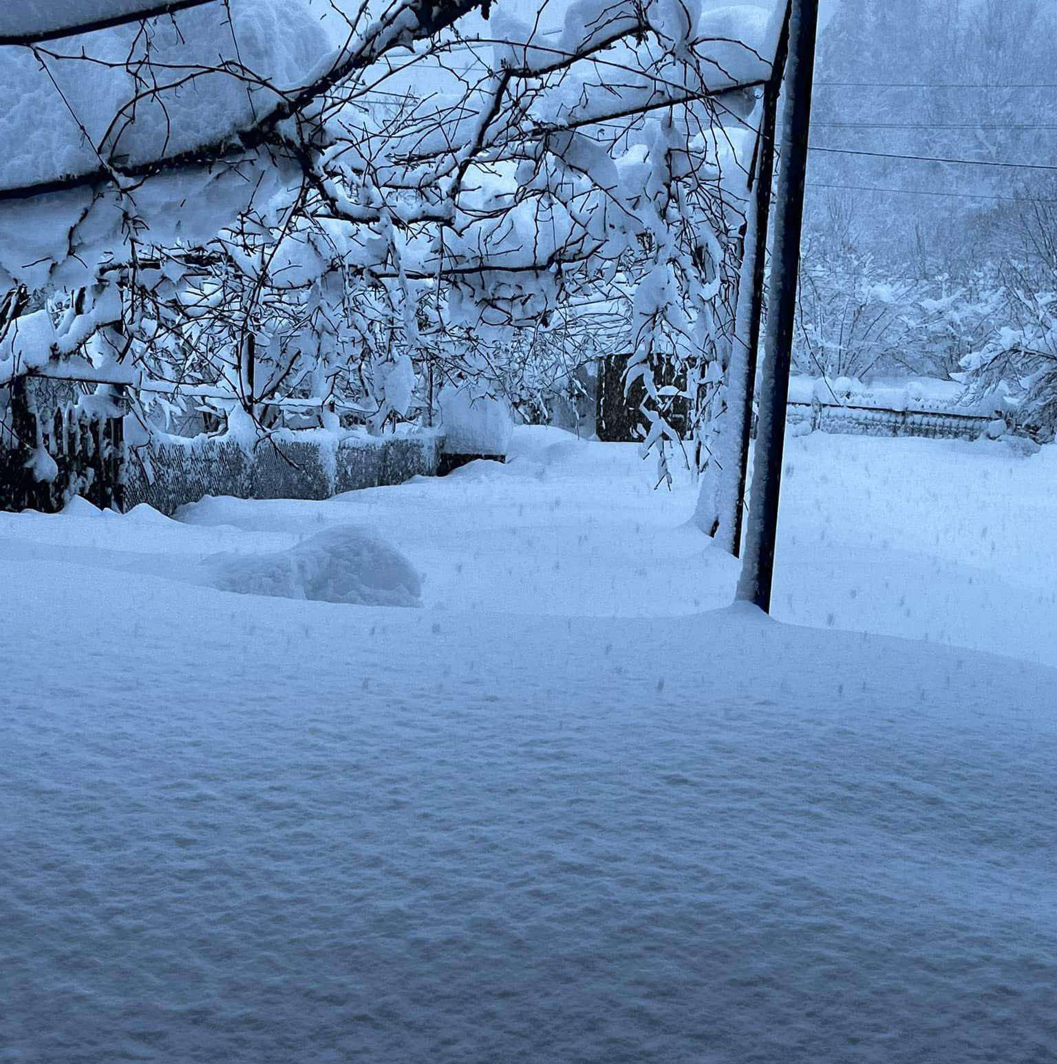 ოზურგეთის მუნიციპალიტეტის სოფლებში გზის გაწმენდა ჯერჯერობით ვერ ხერხდება