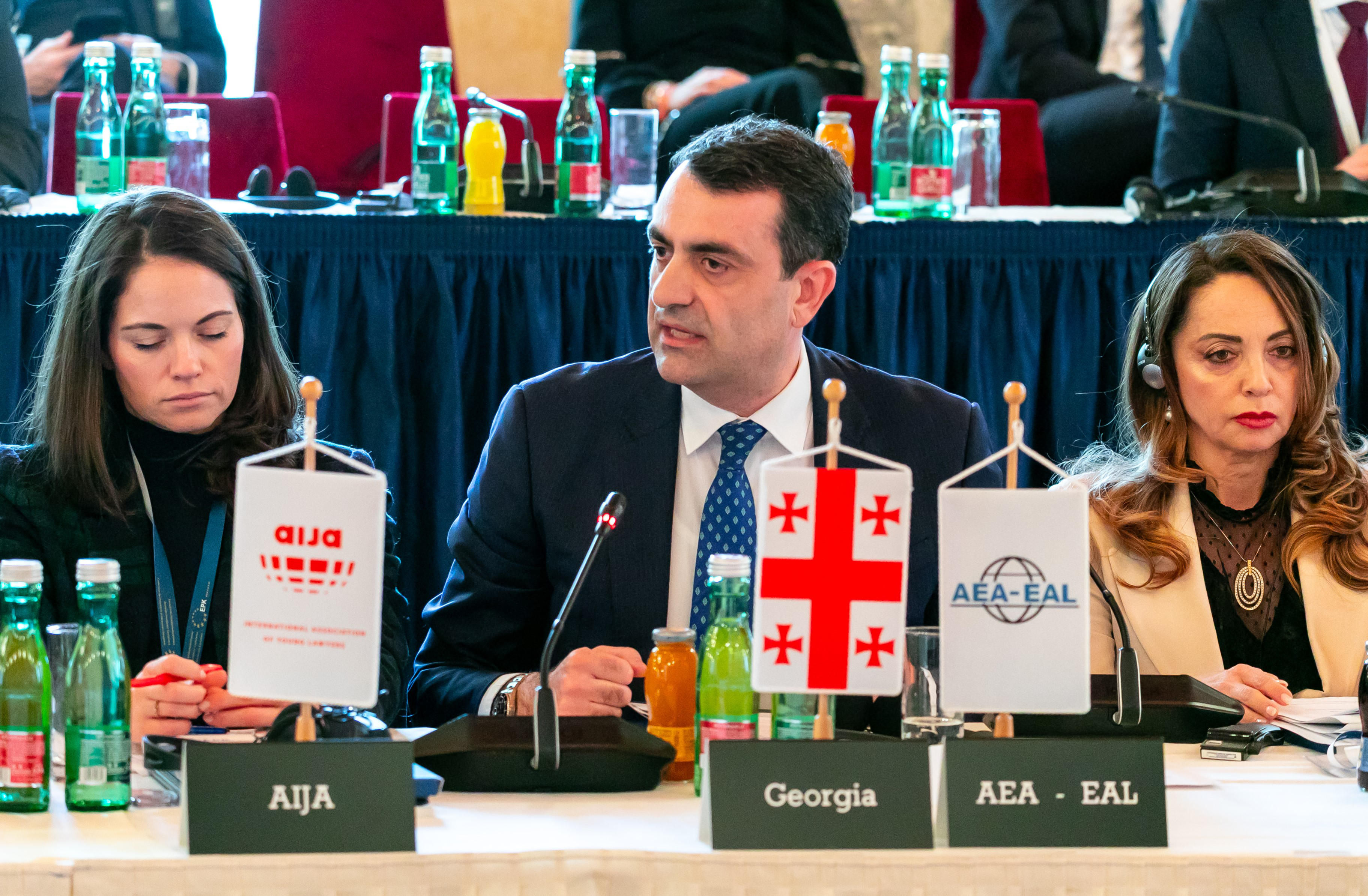 დავით ასათიანმა ევროპის ადვოკატთა გაერთიანებების პრეზიდენტთა 53-ე კონფერენციაზე იურიდიული პროფესიის როლზე ისაუბრა