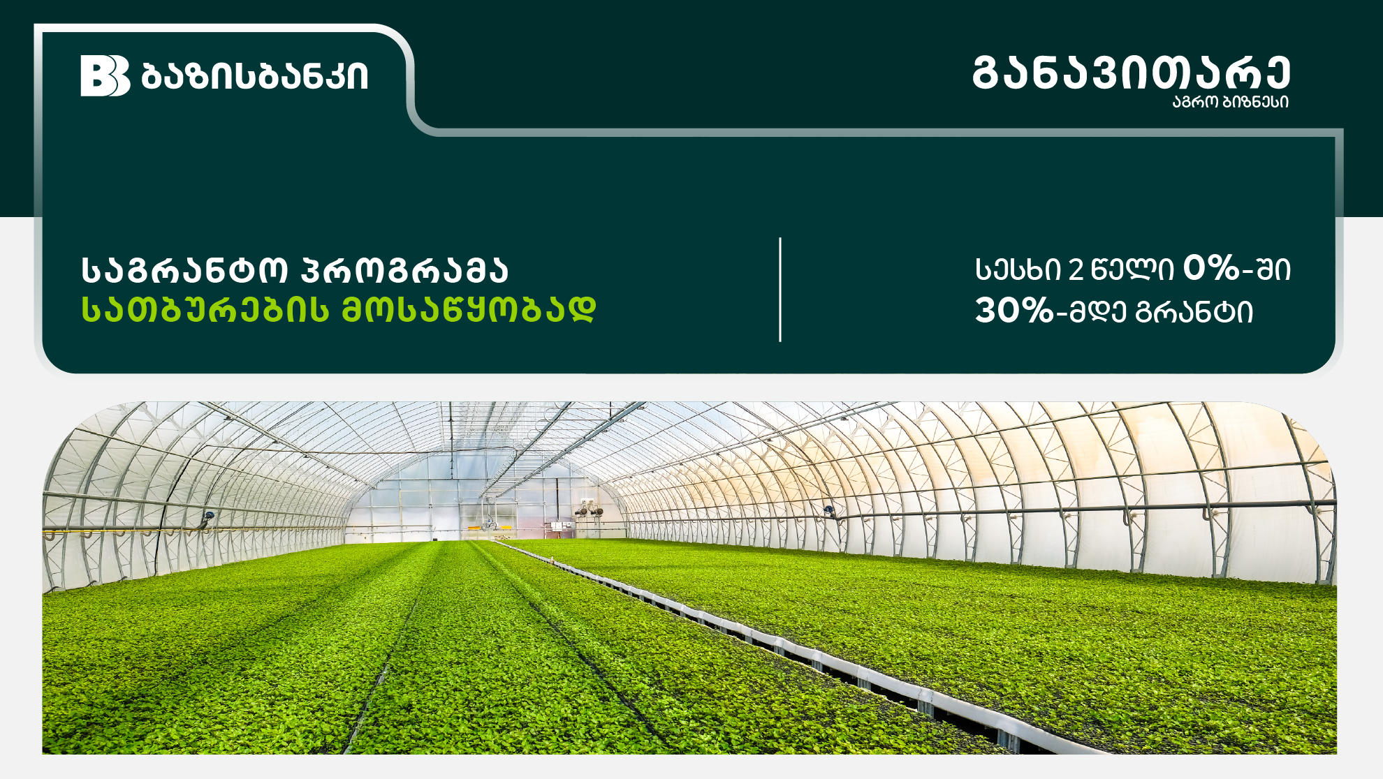 ბაზისბანკი | საგრანტო პროგრამა სათბურების მოსაწყობად