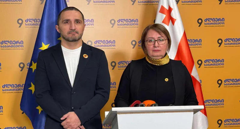 Pikria Chikhradze: The order of the Minister of Education, which concerns the introduction of a personal data protection officer in the structure of schools, serves to continue the wave of terror that has begun in the country