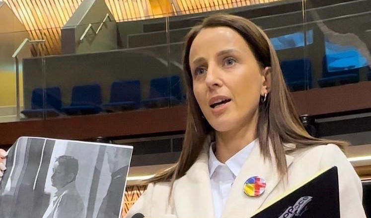 „ერთიანობა - ნაციონალური მოძრაობის“ წევრებმა ევროპის საბჭოს სესიაზე სიტყვით გამოსვლისას მზია ამაღლობელის შესახებ ისაუბრეს