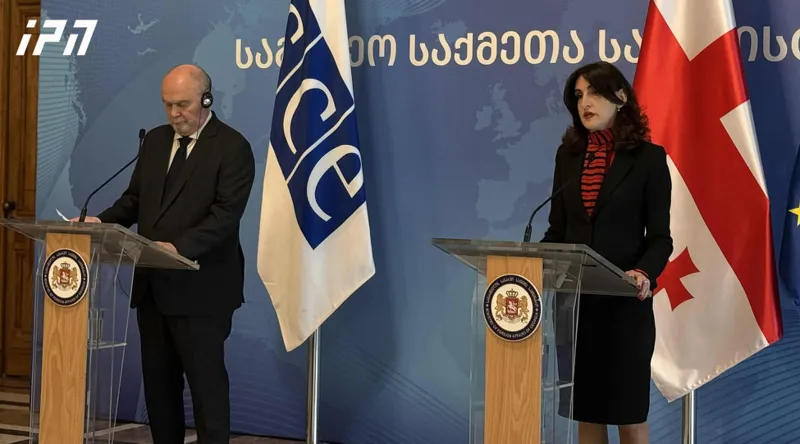 Maka Bochorishvili: Georgia has become a clear example of open attempts at foreign interference in the country’s internal political affairs – attempts to use the OSCE for narrow political interests are unacceptable