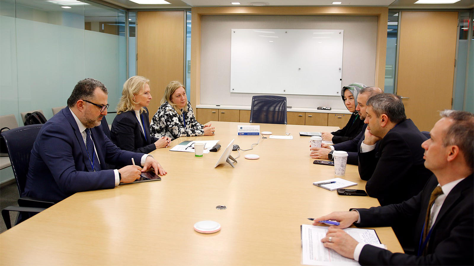 ნათია თურნავა თურქეთის ცენტრალური ბანკის პრეზიდენტს ფატიჰ კარაჰანს შეხვდა