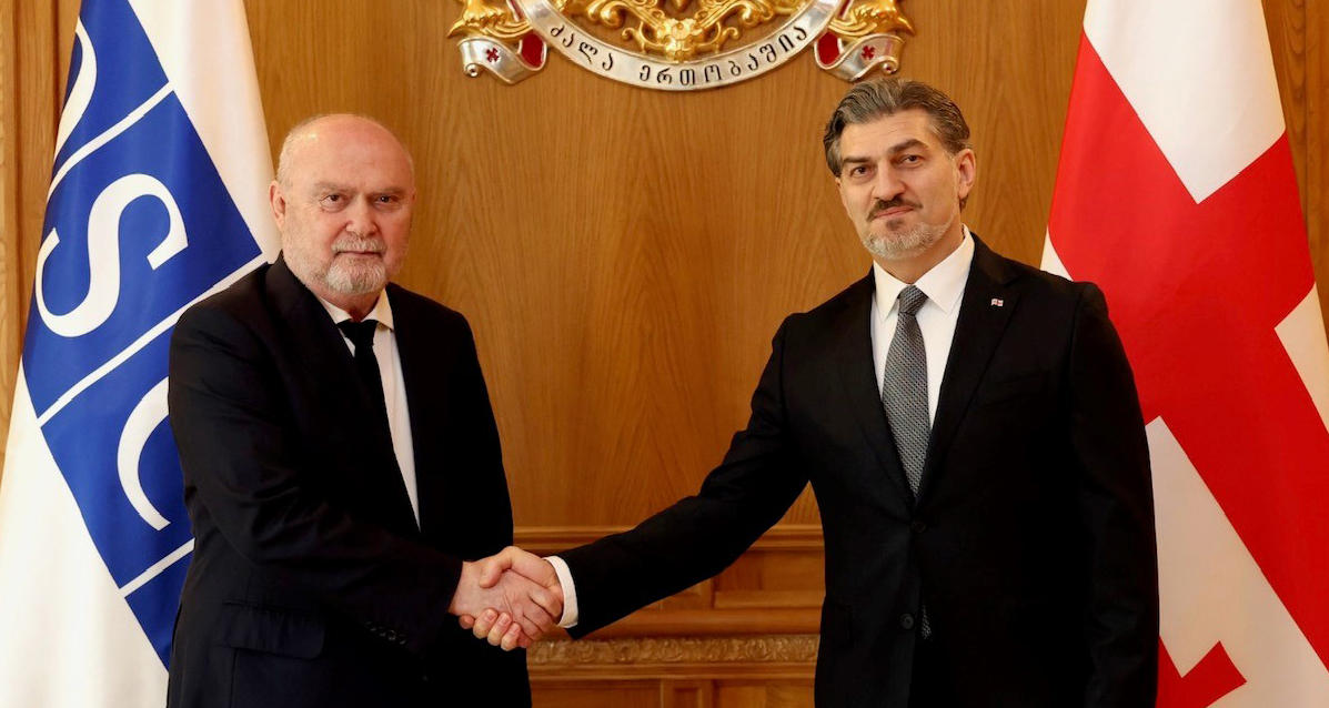 მიხეილ ყაველაშვილმა ეუთოს გენერალურ მდივანს პრეზიდენტის სასახლეში უმასპინძლა