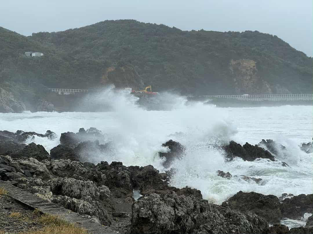 ახალ ზელანდიაში ძლიერი ქარიშხლის გამო სკოლები დაიხურა, შეჩერებულია საჰაერო მიმოსვლა