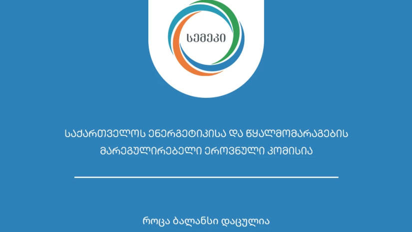 სემეკმა 2024 წლის საქმიანობის ანგარიში გამოაქვეყნა
