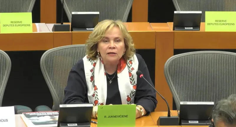 Rasa Juknevičienė: Every week we are forced to make changes to the report due to new evidence and the new, brutal steps the regime is taking – we must call on member states to impose sanctions as soon as possible