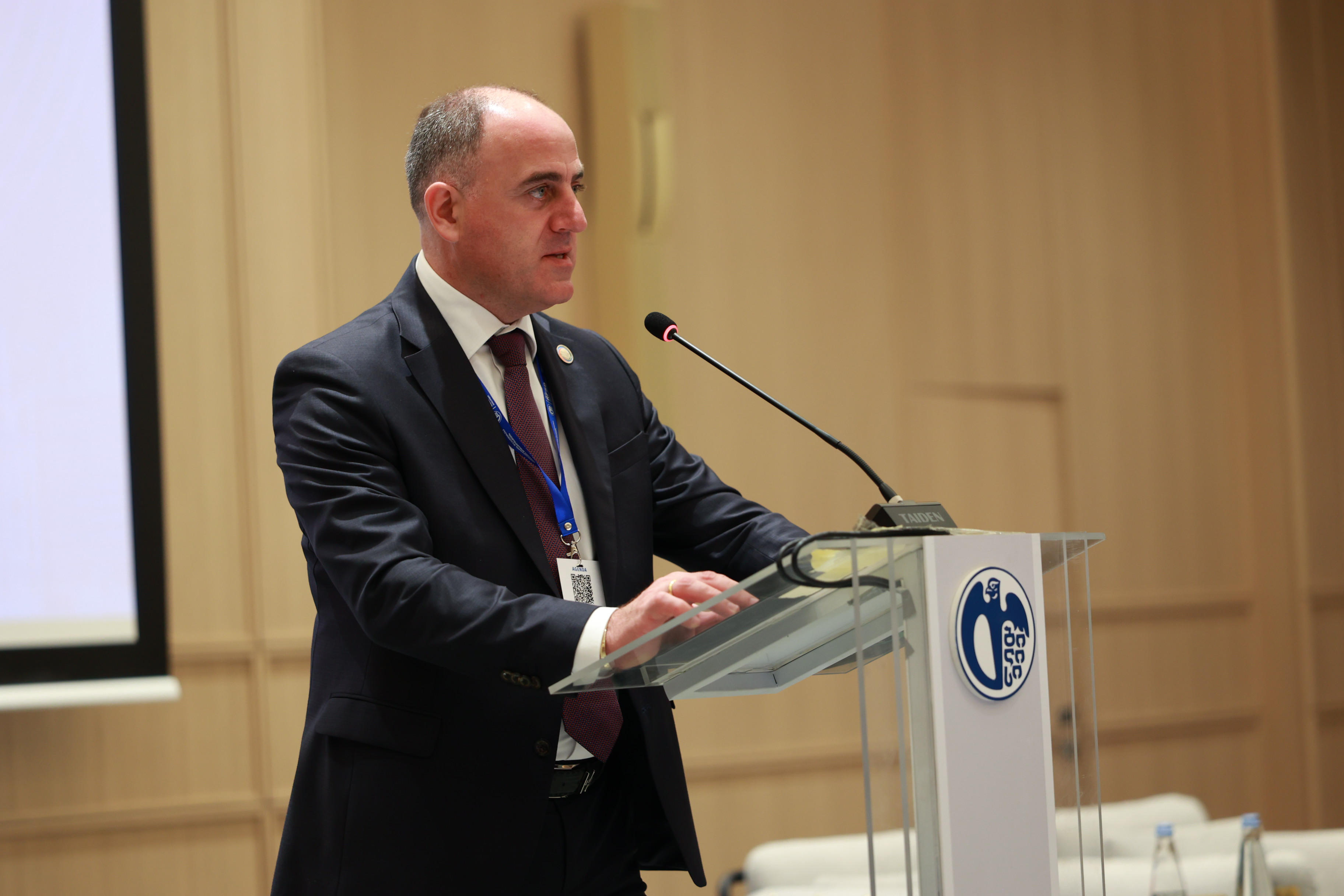 დავით ნარმანიამ თბილისის მდგრადი განვითარების რეგიონული ფორუმის განახლებადი ენერგიის შესახებ პანელურ სესიას მოდერატორობა გაუწია
