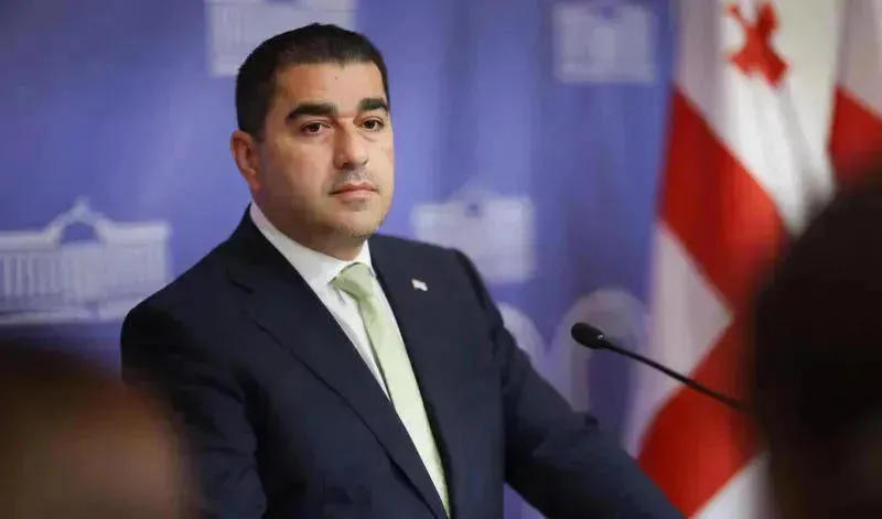 Shalva Papuashvili: the German ambassador confirmed that he did not advise Elene Khoshtaria to end her hunger strike and only went to express empathy – this is exactly what instrumentalizing a human life means