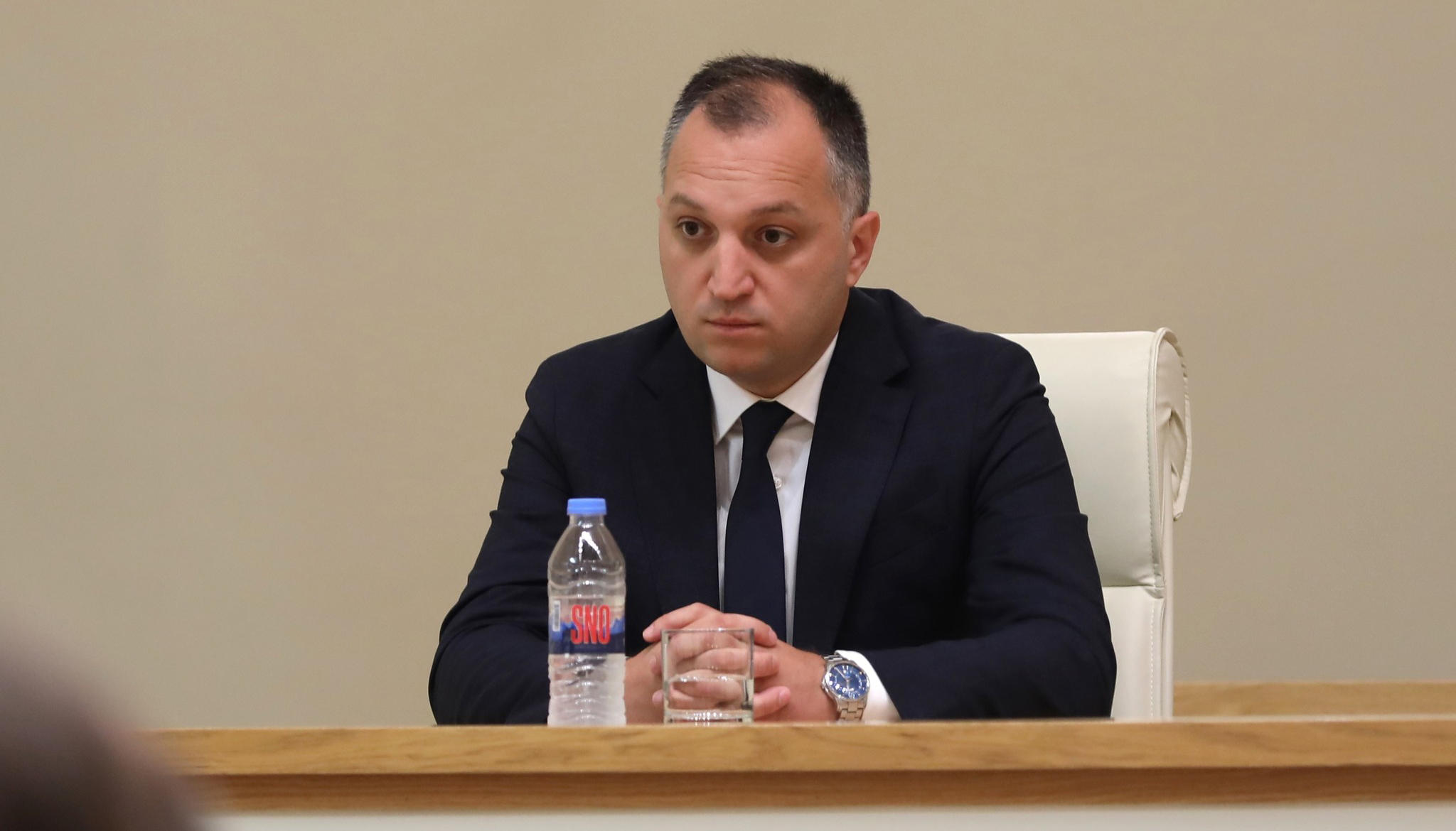 პარლამენტში გივი მიქანაძის ადგილმონაცვლედ დავით დოლიძე შევიდა