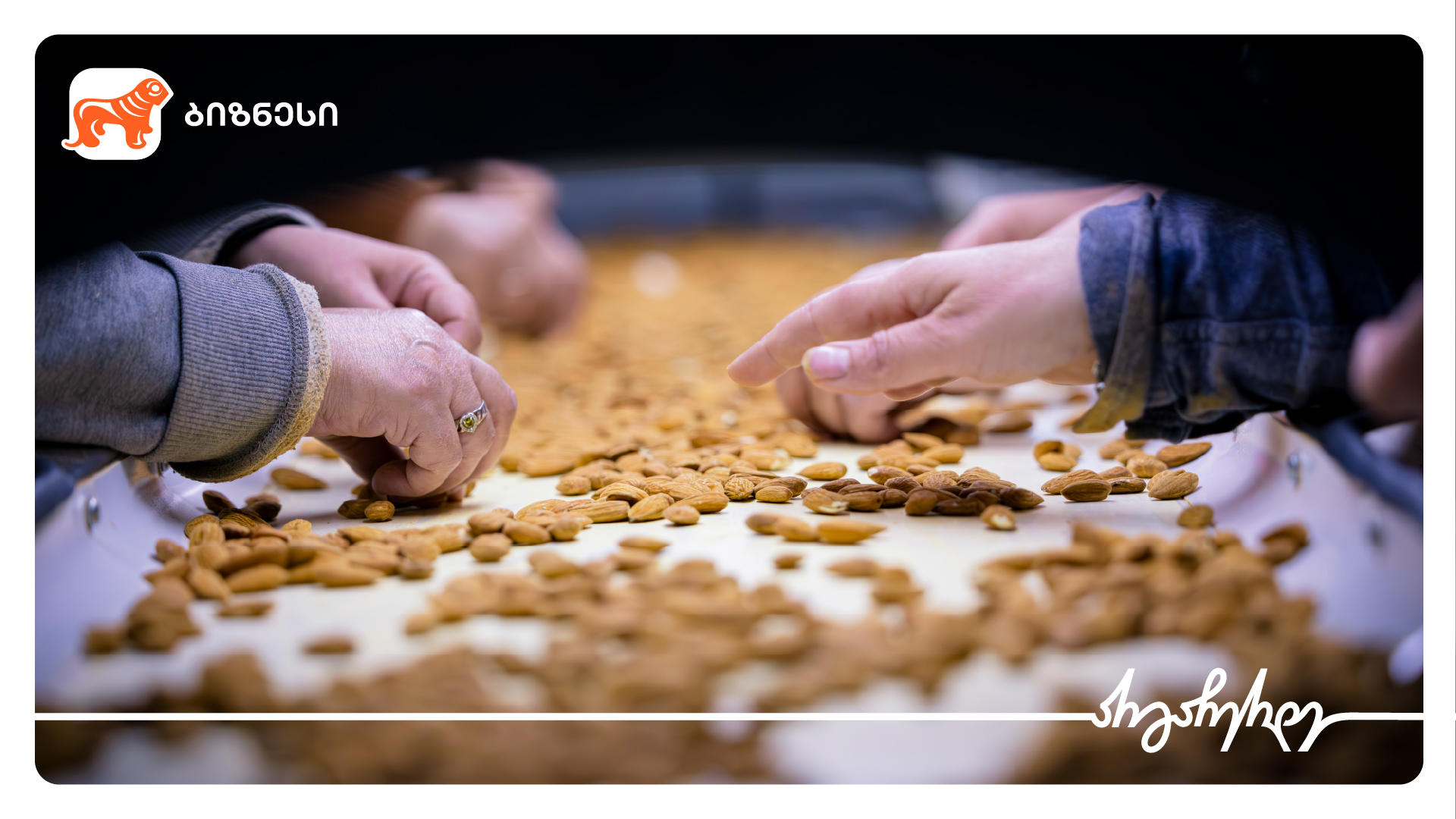 „საქართველოს ბანკის“ მხარდაჭერით, „ფარმინგ ქონსთრაქშენმა“ ნუშის გადამამუშავებელი ქარხანა ააშენა