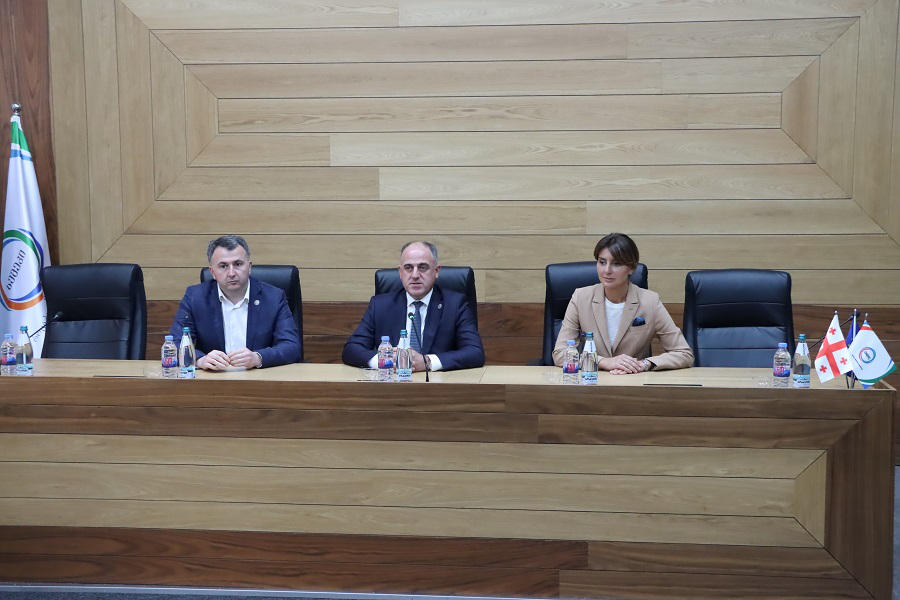 სემეკში რუსთავის წყალმომარაგების საკითხებთან დაკავშირებით შეხვედრა გაიმართა
